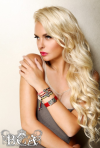 id37662