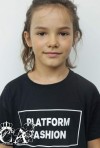 id41446